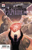 BLACK PANTHER #7 (Stock Image) - Packrat Comics