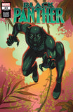 BLACK PANTHER #23 SOUZA BLACK PANTHER BLACK HISTORY VAR - Packrat Comics