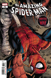 AMAZING SPIDER-MAN #72 SINW - Packrat Comics