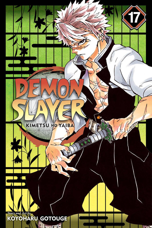 VIZ MEDIA LLC manga DEMON SLAYER KIMETSU NO YAIBA GN VOL 17